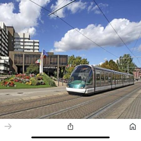 Le Carre Des Oiseaux Apartment Strasbourg Bagian luar foto