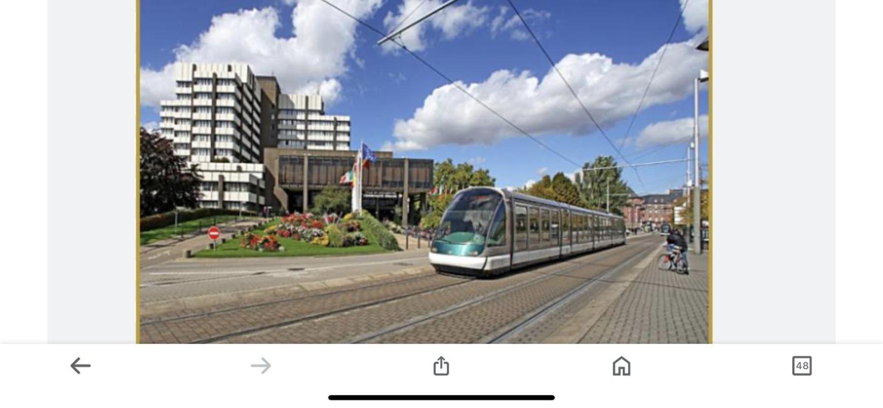 Le Carre Des Oiseaux Apartment Strasbourg Bagian luar foto