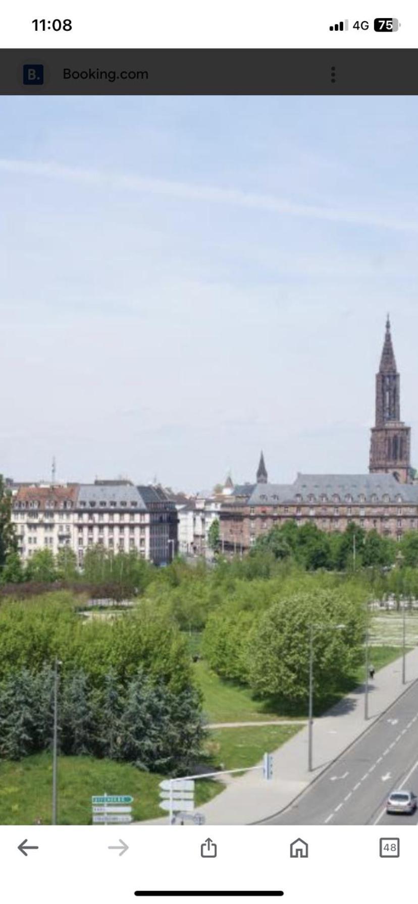 Le Carre Des Oiseaux Apartment Strasbourg Bagian luar foto
